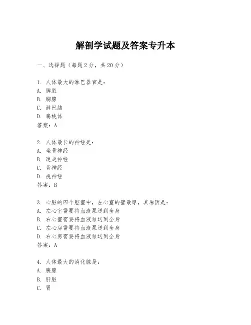 解剖学试题及答案专升本