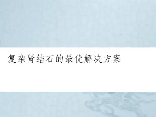 复杂肾结石的最优解决方案ppt课件
