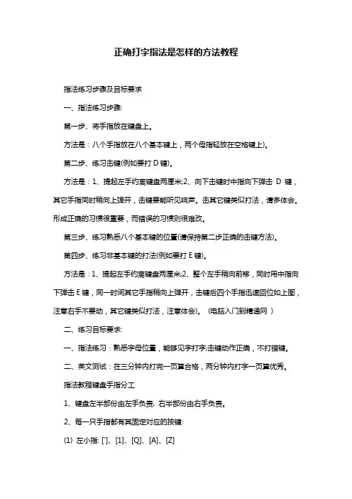 正确打字指法是怎样的方法教程