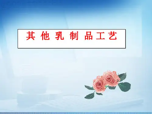 乳制品工艺