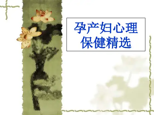 孕产妇心理保健精选参考PPT