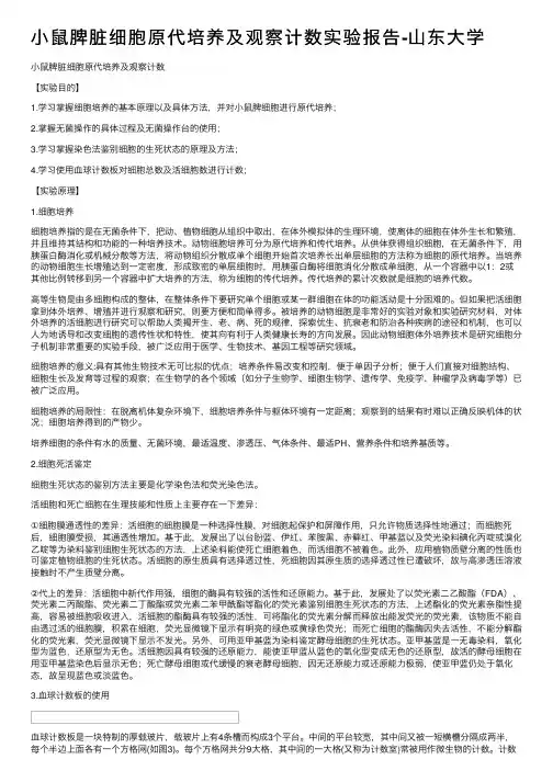 小鼠脾脏细胞原代培养及观察计数实验报告-山东大学