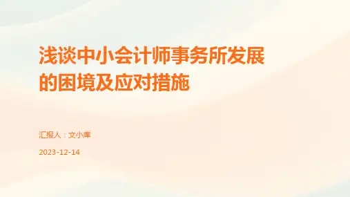 浅谈中小会计师事务所发展的困境及应对措施