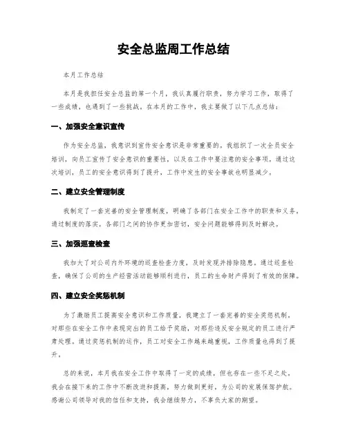 安全总监周工作总结