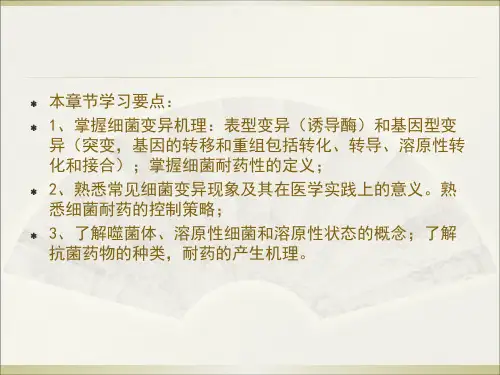 细菌的遗传与变异ppt课件