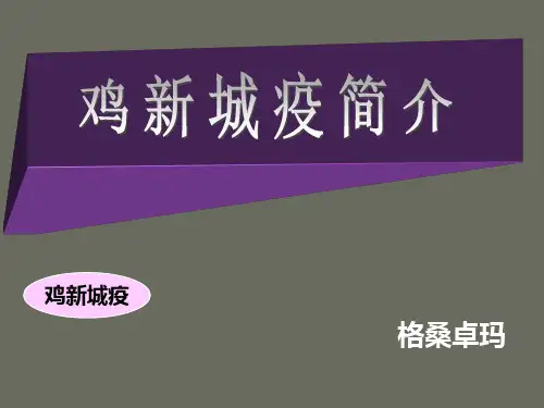 鸡新城疫简介