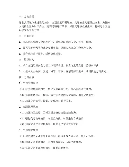 交通组织安全专项方案