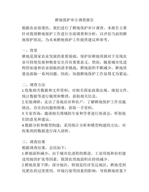 耕地保护审计调查报告