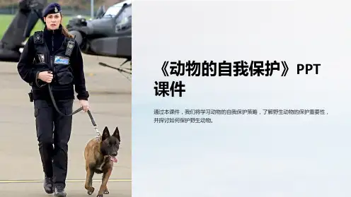《动物的自我保护》课件