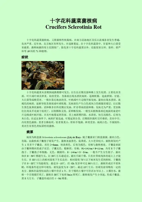 十字花科蔬菜菌核病