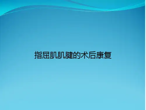 指屈肌肌腱的术后康复