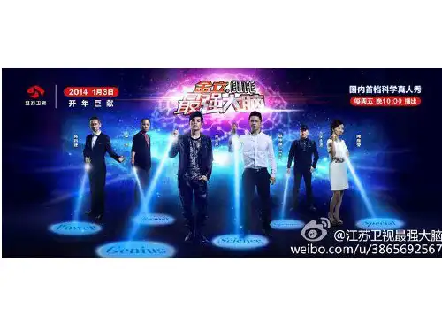 最强大脑案例分析