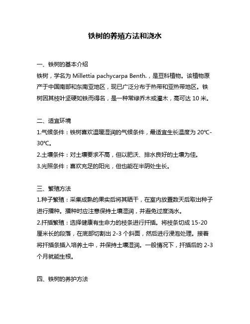 铁树的养殖方法和浇水
