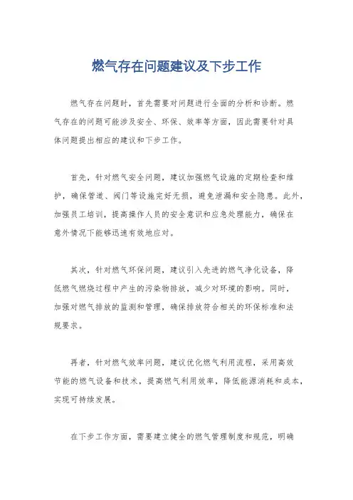 燃气存在问题建议及下步工作