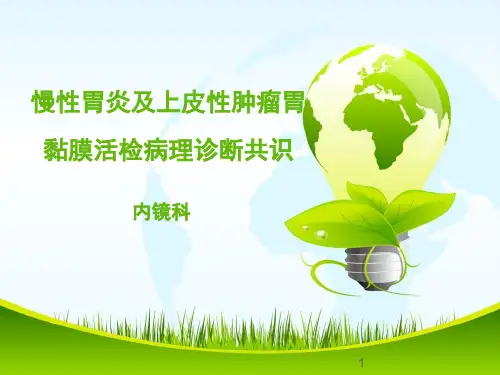 慢性胃炎及上皮性肿瘤胃黏膜活检病理诊断共识PPT课件