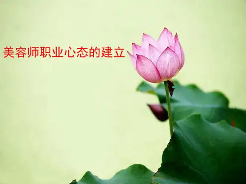[培训]美容师心态 PPT课件