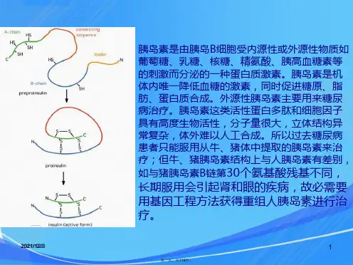 基因工程制胰岛素(生工版)