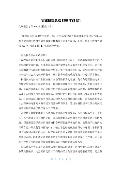 实践报告总结800字(3篇)