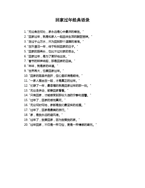 回家过年经典语录