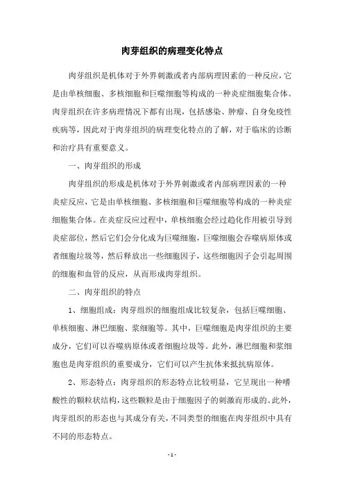 肉芽组织的病理变化特点