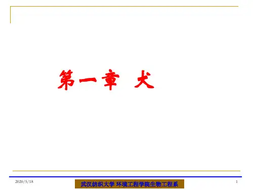 宠物饲养与鉴赏-第一章犬