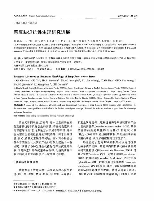菜豆胁迫抗性生理研究进展