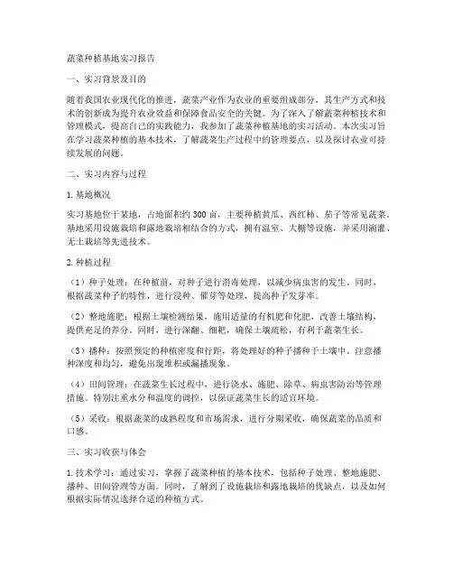 蔬菜种植基地实习报告
