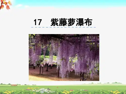部编七年级语文下册第17课《紫藤萝瀑布》公开课PPT课件