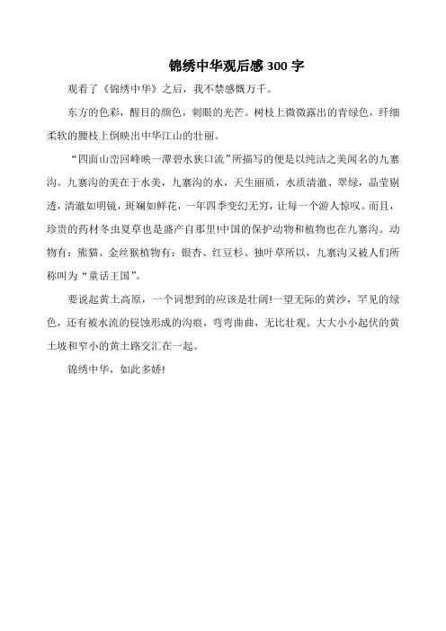 锦绣中华观后感300字