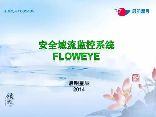 启明星辰FlowEye安全域流监控产品V6.0.11.7_主打PPT