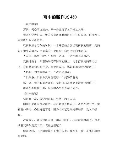 雨中的暖作文450