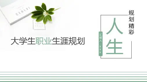 职业规划书-视觉传达设计