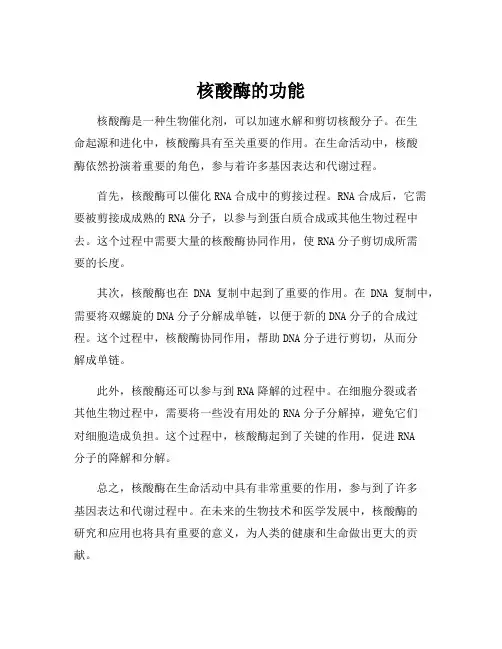 核酸酶的功能