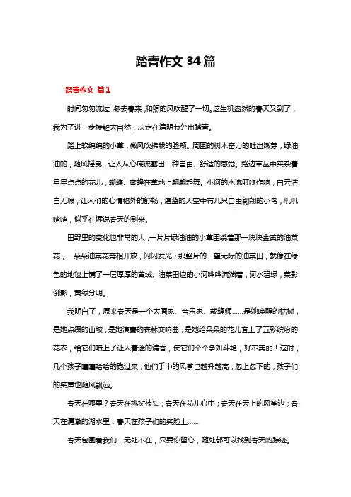踏青作文34篇