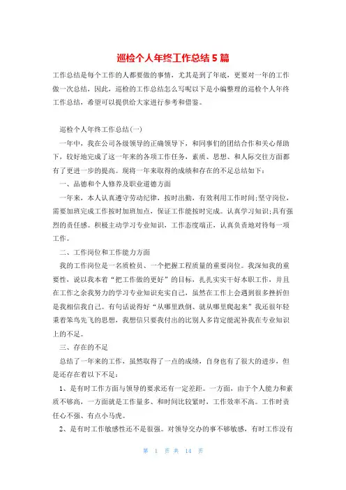 巡检个人年终工作总结5篇
