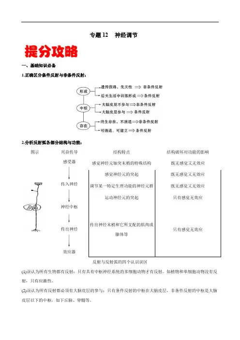 高中生物高考专题12 神经调节-备战2021年高考生物专题提分攻略(原卷版)