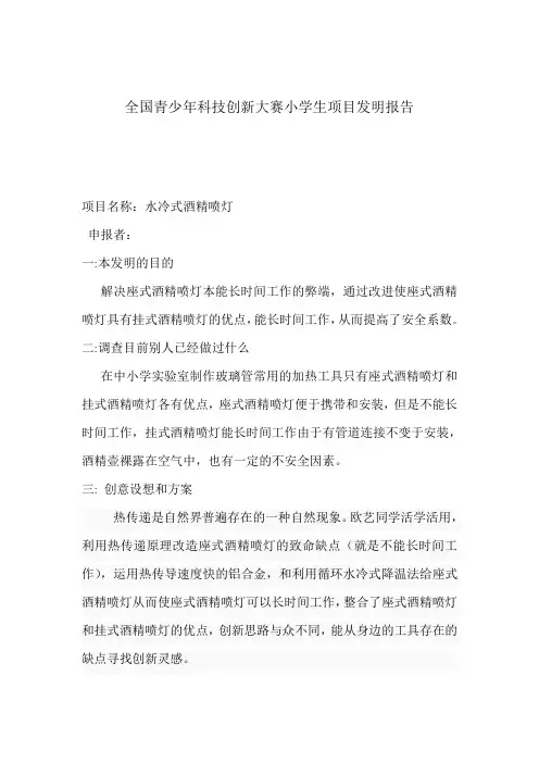 小学生项目发明报告