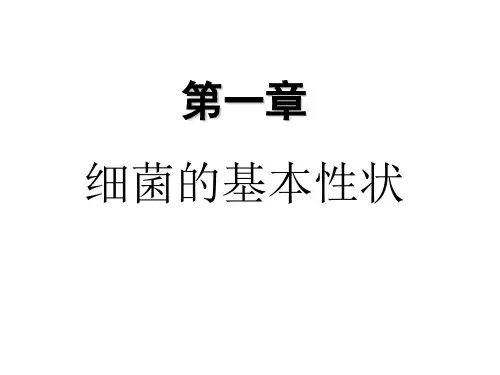 第一章 细菌的基本性状