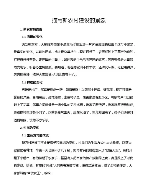 描写新农村建设的景象
