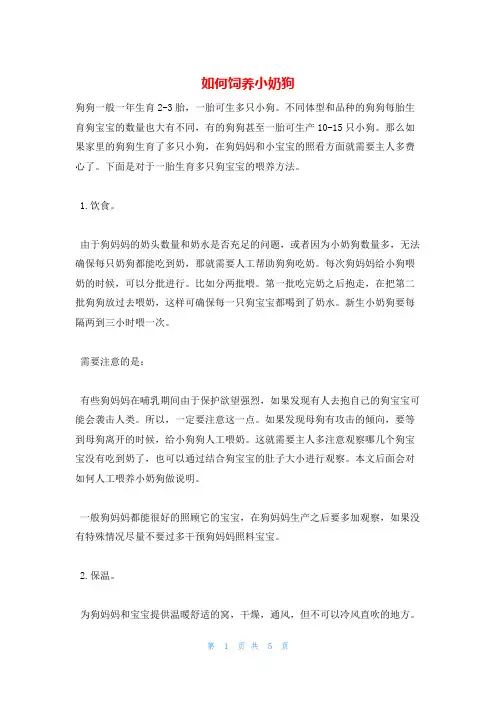 如何饲养小奶狗