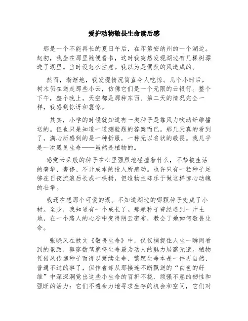 爱护动物敬畏生命读后感