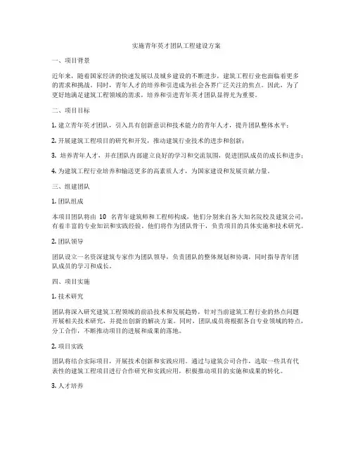 实施青年英才团队工程建设方案