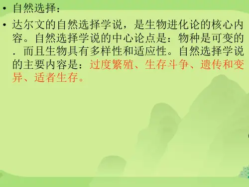 初中生物八上 5.16.3 生物进化的学说 课件  (13张ppt)