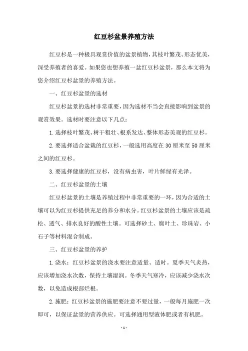 红豆杉盆景养殖方法