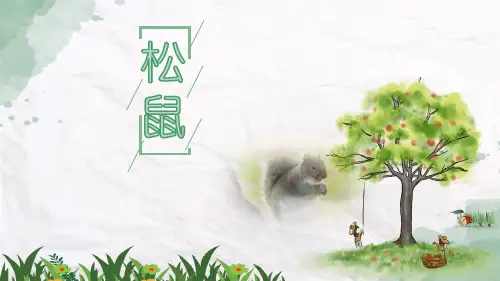 《松鼠》PPT优质课件