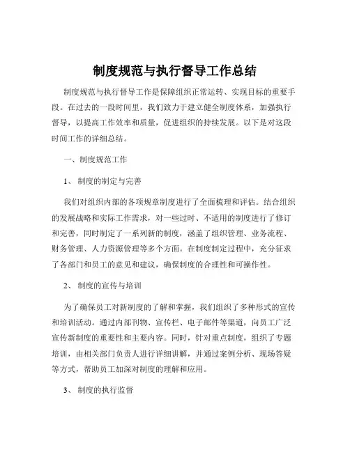制度规范与执行督导工作总结