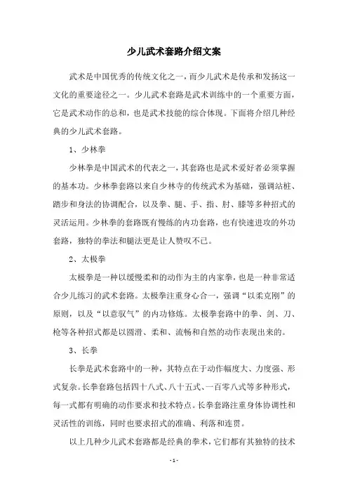 少儿武术套路介绍文案