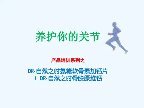 氨糖和骨胶原ppt课件