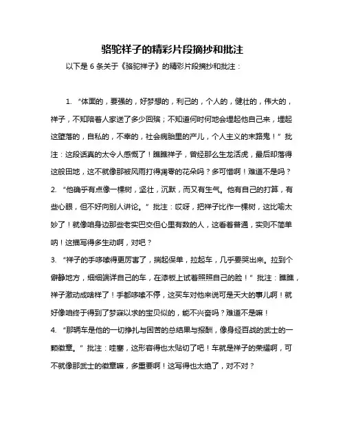 骆驼祥子的精彩片段摘抄和批注
