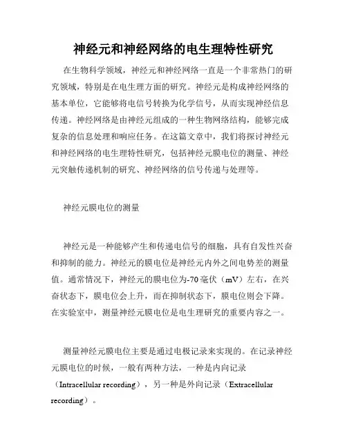 神经元和神经网络的电生理特性研究